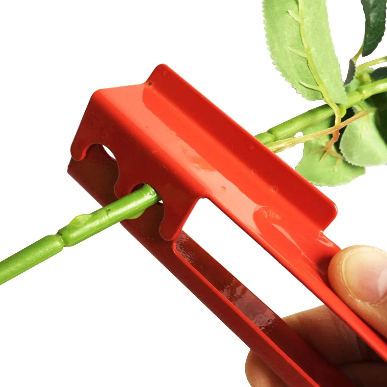 Flower Thorn Stripper