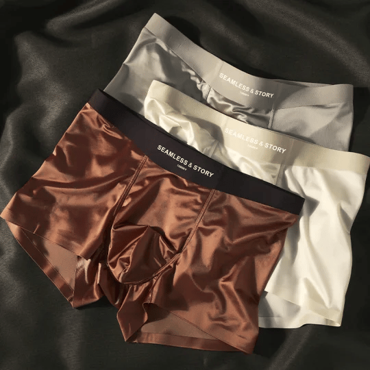 ✨ Elegant Silk Men's Ice Silk Underwear Mulberry Silk Antimicrobial Men's Boxer Briefs