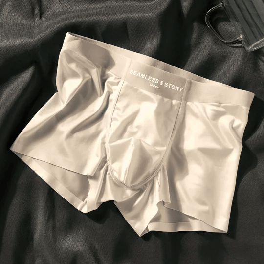 ✨ Elegant Silk Men's Ice Silk Underwear Mulberry Silk Antimicrobial Men's Boxer Briefs