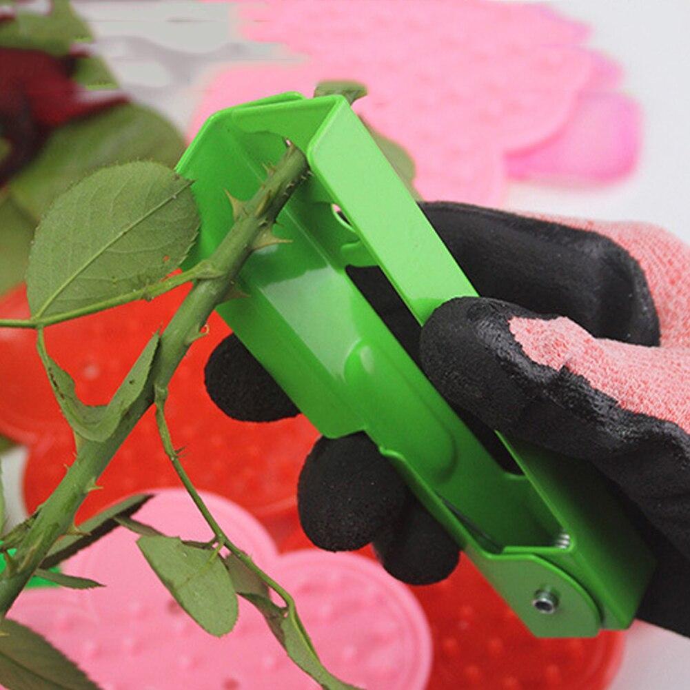 Flower Thorn Stripper