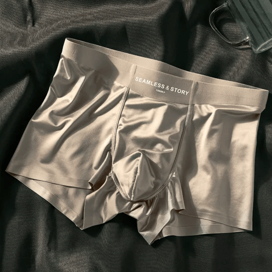 ✨ Elegant Silk Men's Ice Silk Underwear Mulberry Silk Antimicrobial Men's Boxer Briefs