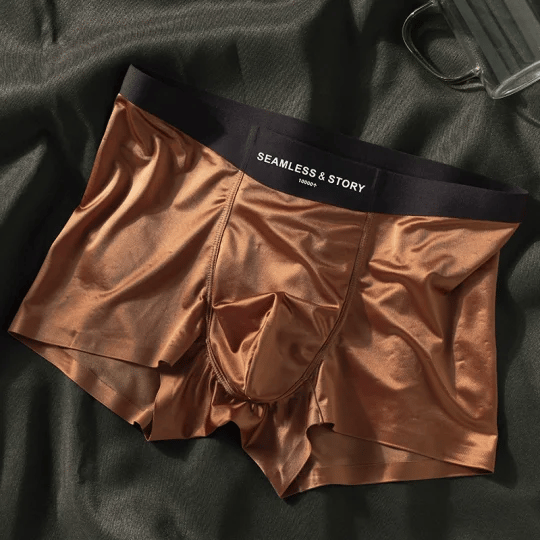 ✨ Elegant Silk Men's Ice Silk Underwear Mulberry Silk Antimicrobial Men's Boxer Briefs
