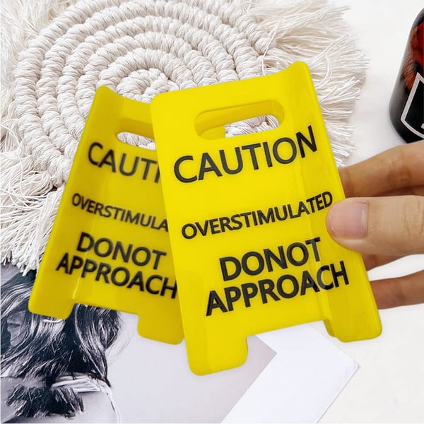 ✨Caution: Overstimulated - Do Not Approach Hairclips🤣