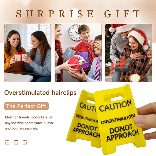 ✨Caution: Overstimulated - Do Not Approach Hairclips🤣