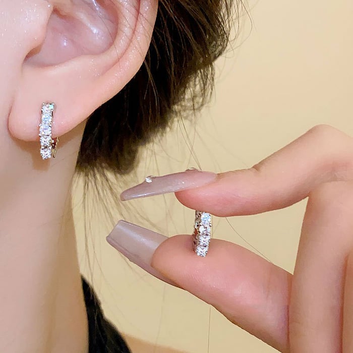 Shiny Earrings