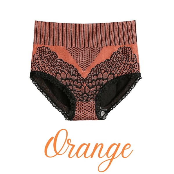 New Women'S Lace Panties High Waist Graphene Cotton Underwear