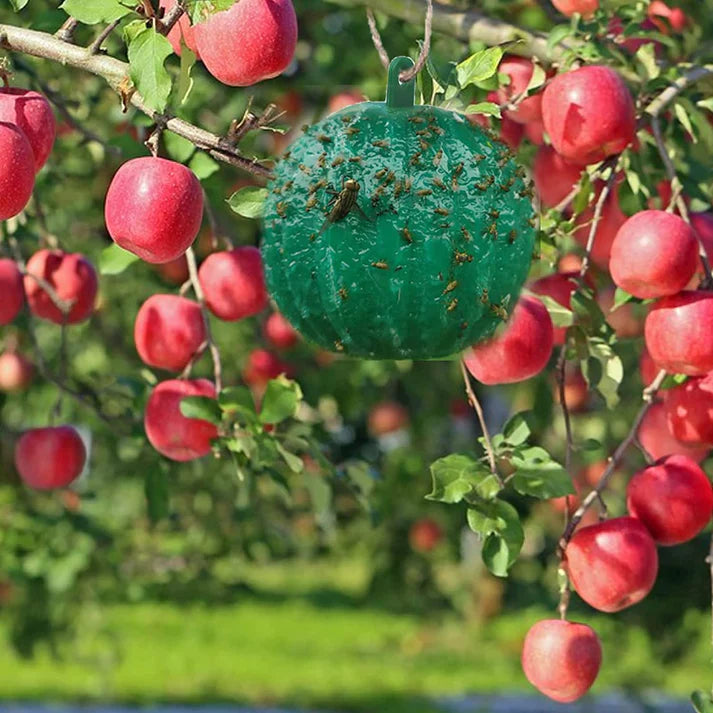 Hanging Environmental Fruit Fly Traps Sticky Traps