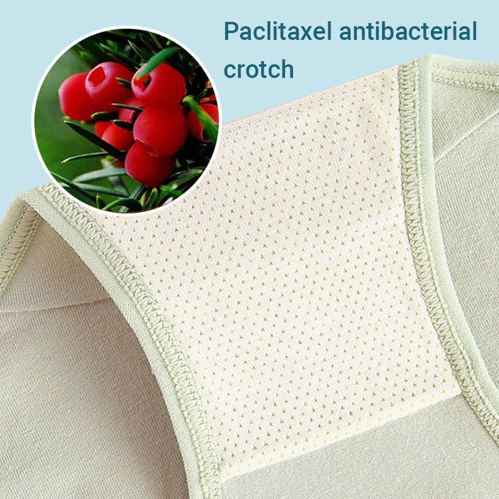 Women's High Waisted 3A Grade Paclitaxel Antibacterial Panties